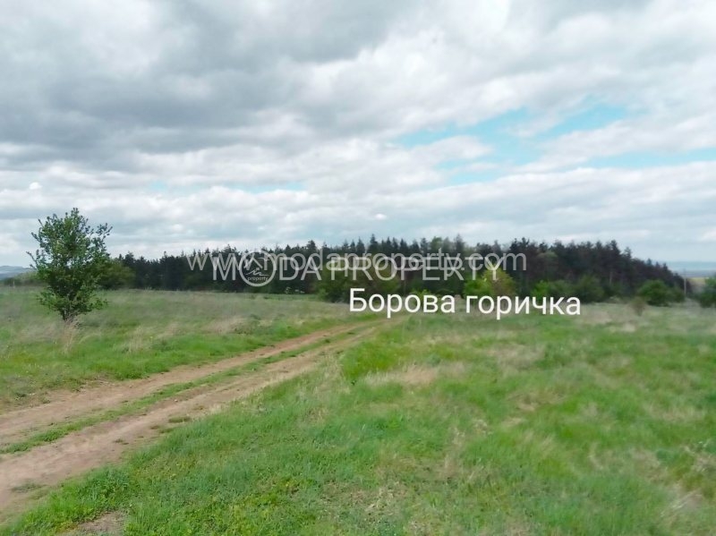 Продава се къща с голям двор в живописното село Терзийско