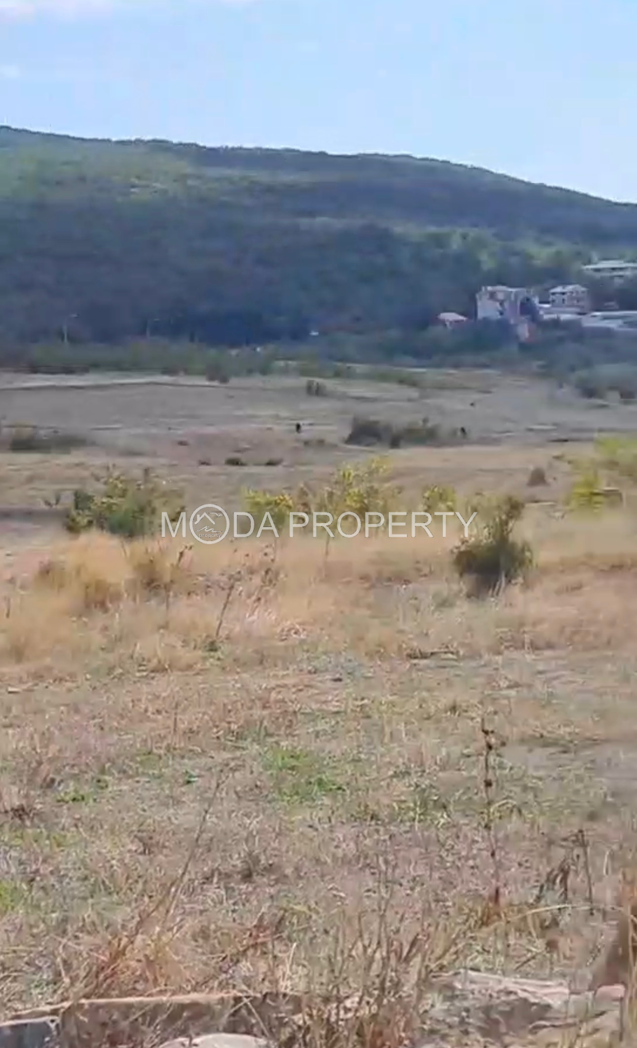 Уникален парцел в Кошарица — идеално съчетание на море и планина.